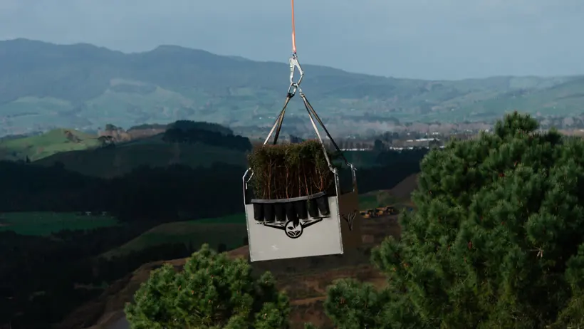 A Vantage lifting crate full of native seedlings flown over hill country