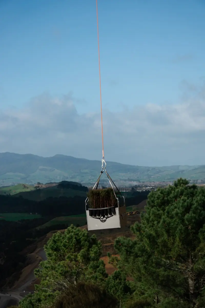 A crate of native seedlings hanging under the drone above hill country