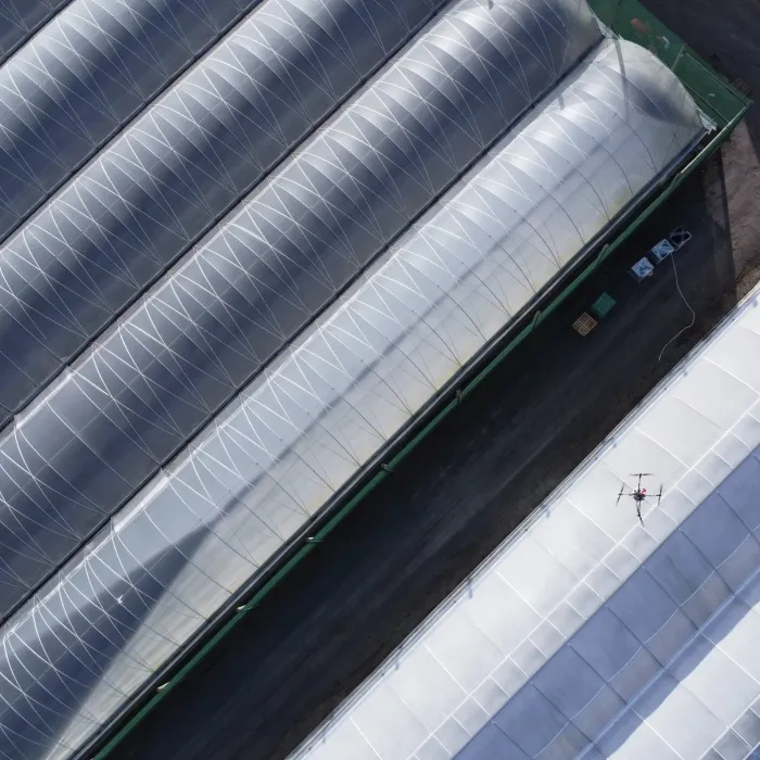Aerial view of a spray drone working above greenhouse tunnels