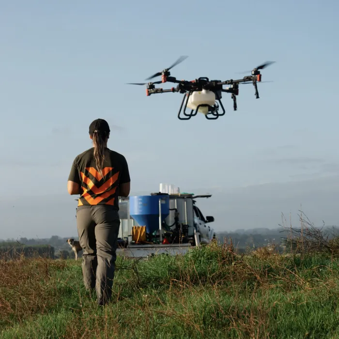 An operator walking out to a hovering spray drone beside a ute loaded with a mixing tank