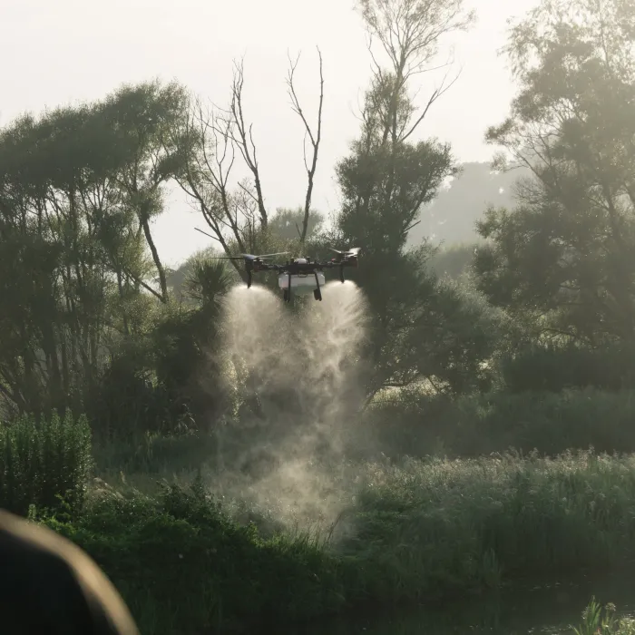 A spray drone applying low-drift weed control over wetland scrub in early morning light